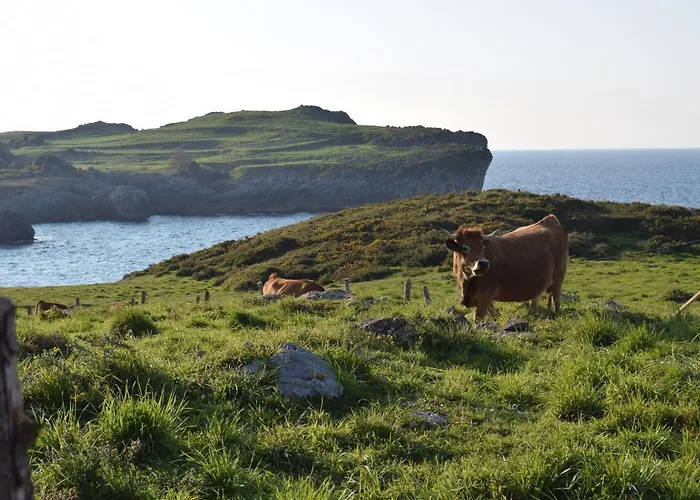 Rural El Otero 2* La Borbolla