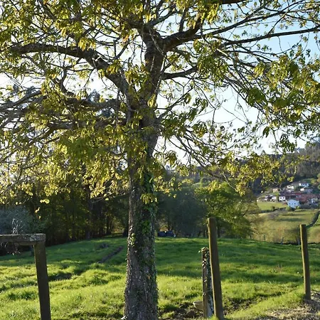 Rural El Otero فندق